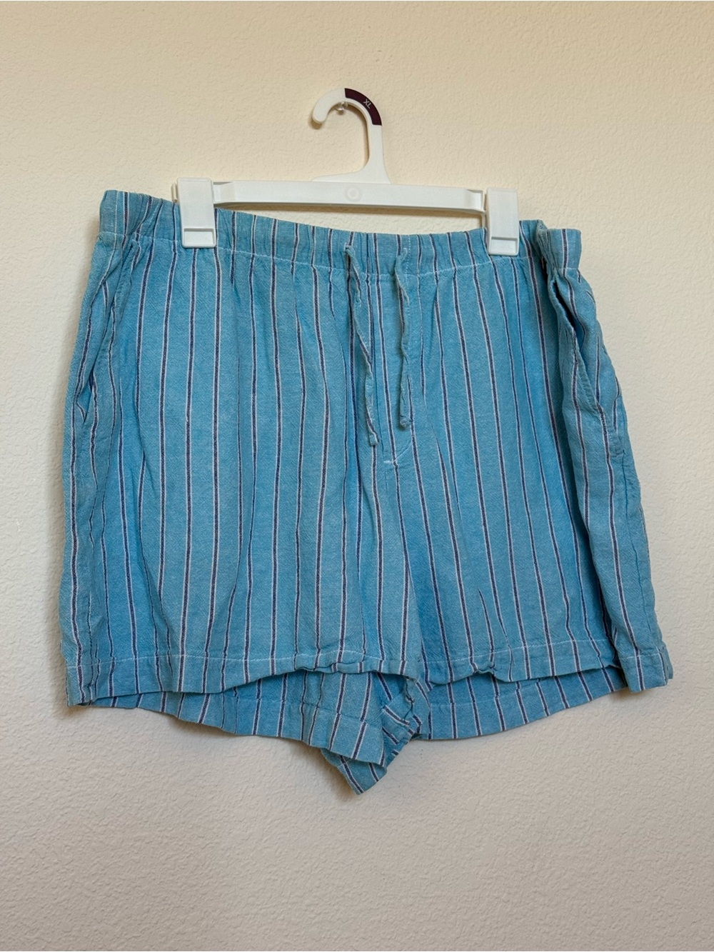 GAP Light Blue Striped Shorts